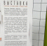 Второй этап кинофестиваля «Движение по вертикали» стартовал в Пскове - InformPskov.Ru