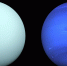 Фото: NASA - InformPskov.Ru