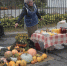 Фото: Андрей Степанов - InformPskov.Ru