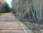 Водителя госпитализировали после ДТП в Печорском районе