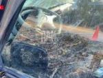 Водителя госпитализировали после ДТП в Печорском районе