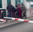 В Псковской области пресекли контрабанду мяса из Белоруссии - Псковская правда