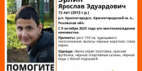 Фото: поисково-спасательный отряд «ЛизаАлерт» - InformPskov.Ru