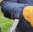 Спасение чайки в Пскове - InformPskov.Ru