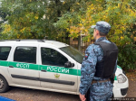 Фото: пресс-служба УФССП России по Псковской области