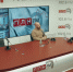 «ГорДозор»: Желтые листья над Псковом. Готов ли город к зиме? ВИДЕО - Pln-Pskov.Ru