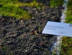 «Следы невиданных людей»: 15 экспонатов представили в арт-парке «Тропы»