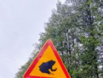 Золотая осень в Белоруссии: взгляд псковича на жизнь южных соседей
