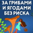 Тихая охота в октябре: как сделать ее безопасной - МЧС Псковской области