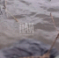 Фото: ПАИ - InformPskov.Ru