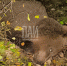 Фото здесь и далее: ПАИ - InformPskov.Ru