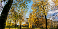 Фото: ПАИ - InformPskov.Ru