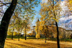 Фото: ПАИ