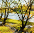 Фото: ПАИ - InformPskov.Ru