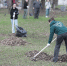 Фото: Андрей Степанов - InformPskov.Ru