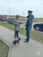 В деревне Борисовичи проведен профилактический рейд
