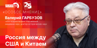 Начинается видеотрансляция программы «Особое мнение» с Валерией Гарбузовым - Pln-Pskov.Ru