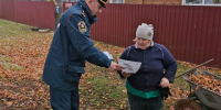 В  Новосокольническом районе сотрудники ОНДиПР провели профилактический  рейд - МЧС Псковской области