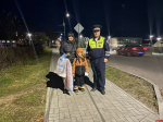Профилактическую акцию «Стань заметнее» провели в Новосокольниках