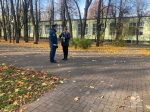 На территории города Великие Луки проведен профилактический    рейд
