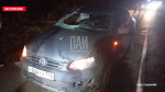 На трассе Р23 в Псковском районе Volkswagen Polo столкнулся с лосем