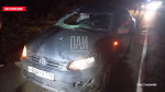 Лось погиб после столкновения с автомобилем в Псковском районе