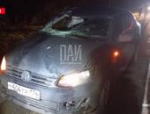 Лось погиб после столкновения с автомобилем в Псковском районе