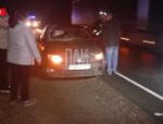 Лось погиб после столкновения с автомобилем в Псковском районе