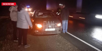 Смертельное ДТП с лосем произошло в Псковском районе - Псковская правда