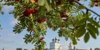 В Псковскую область по крупным турпроектам привлекли более 5 млрд рублей инвестиций - Псковская правда