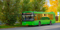Фото: ПАИ - InformPskov.Ru