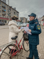 Сотрудники ОНДиПР провели профилактический рейд  в   Острове