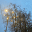 Фотофакт: Псков украшают к Новому году - Pln-Pskov.Ru