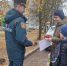 Сотрудники ОНДиПР провели профилактический рейд в   Палкино - МЧС Псковской области