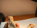 Орнаментированными кирпичами для оформления печей пополнилась коллекция археологов в Пскове