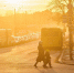 Фото: ПАИ - InformPskov.Ru