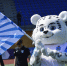 Фото: ФК «Псков» - InformPskov.Ru