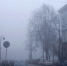 Фото: ПАИ - InformPskov.Ru