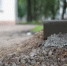 Фото: ПАИ - InformPskov.Ru