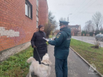 Сотрудники ОНДиПР провели профилактический рейд в жилом секторе города Пскова
