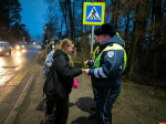 В Стругах Красных школьникам рассказали, как стать заметнее на дороге