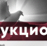 Стартовал седьмой аукцион  «Яблока» в поддержку семей политзаключённых - Яблоко