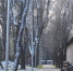 Фото: ПАИ - InformPskov.Ru