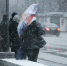 Фото: ПАИ - InformPskov.Ru