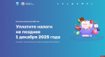 Две недели осталось у псковичей для уплаты имущественных налогов за 2024 год