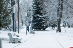 Фотофакт: Псков проснулся под снежным покровом