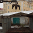 В Пскове демонтирован металлический гараж на Октябрьском проспекте - Pln-Pskov.Ru