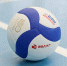 Фото: группа Pskov volleyball club в соцсети «ВКонтакте» - InformPskov.Ru