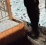 В Плюссе полиция по горячим следам задержала ночных «посетителей» библиотеки - Pln-Pskov.Ru