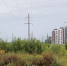 Фото: ПАИ - InformPskov.Ru
